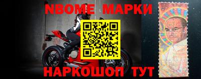 стафф Гай