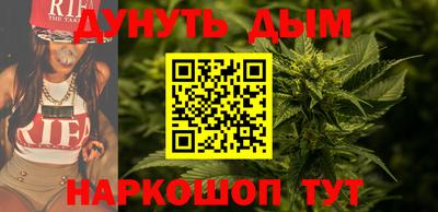 стафф Гай