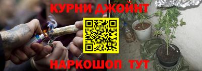 стафф Гай