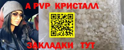 твердый Гатчина