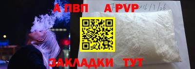 стафф Гай