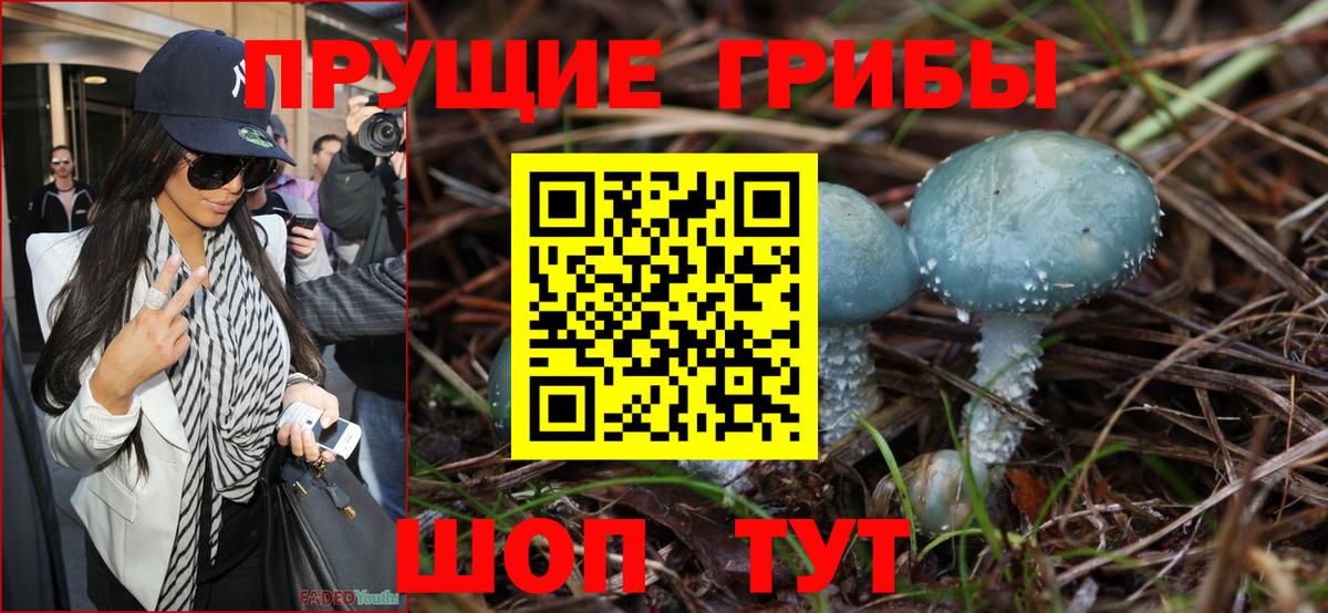 Приморско-Ахтарск  Галлюциногенные грибы Cubensis  Вход с VPN  Галлюциногенные грибы ЛСД 