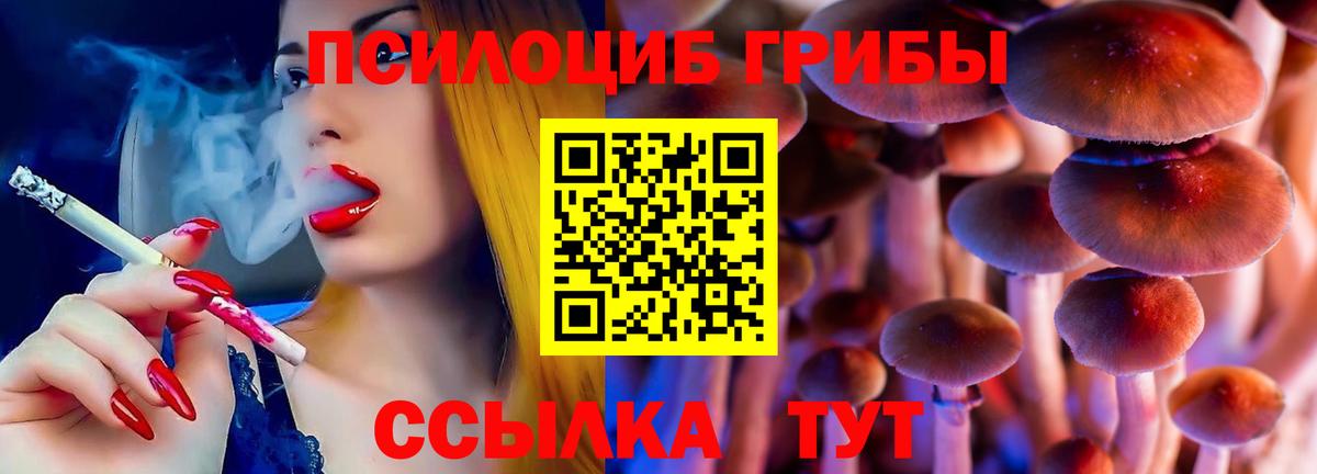 Псилоцибиновые грибы мицелий Приморско-Ахтарск